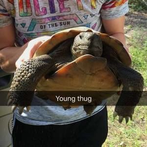 Meet your Posher, William